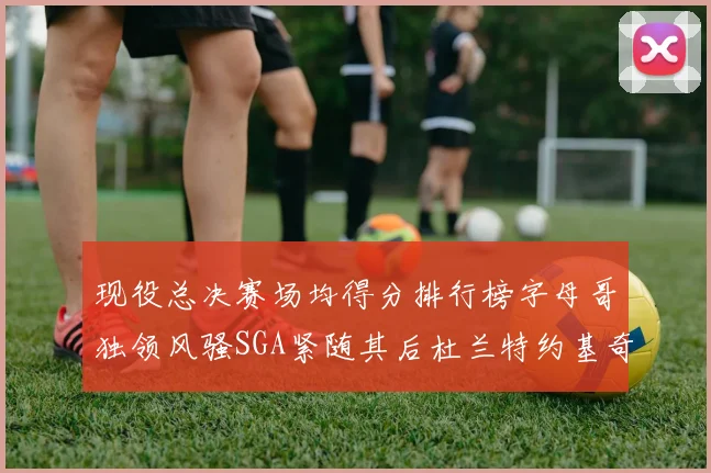现役总决赛场均得分排行榜字母哥独领风骚SGA紧随其后杜兰特约基奇东契奇争夺第三